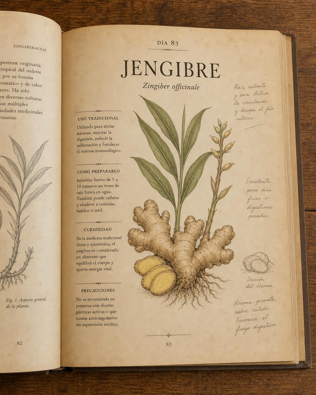 Página del ebook dedicada al jengibre, Día 83