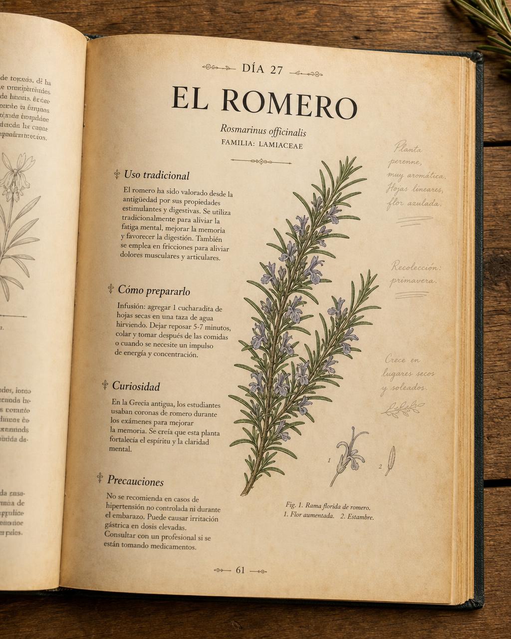 Página del ebook dedicada al romero, Día 27